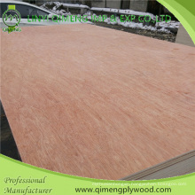 Poplar or Hardwood Core Dbbcc Grade 9.0mm Bintangor Plywood